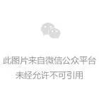乌鲁木齐市篮球训练营价格