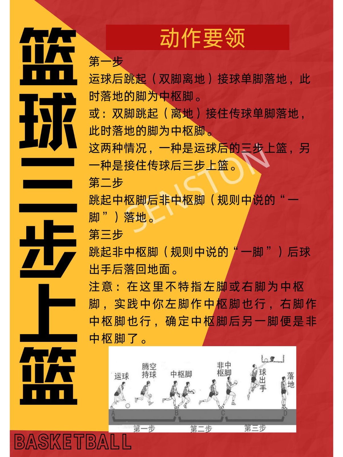 篮球训练动作专业术语叫什么来着